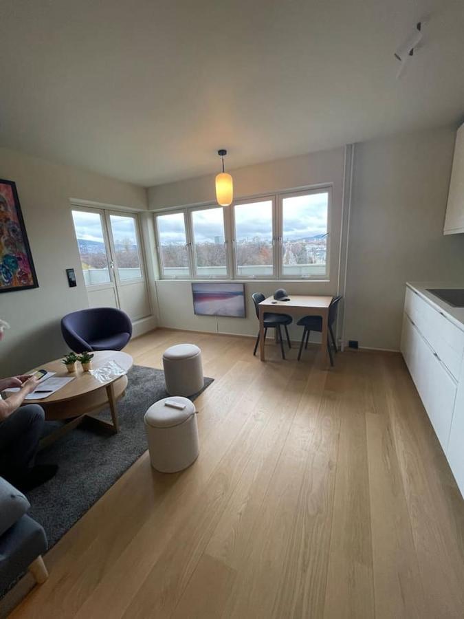 Frognervein Terrace Penthouse