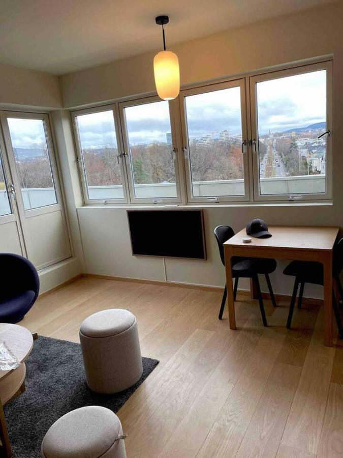 Frognervein Terrace Penthouse