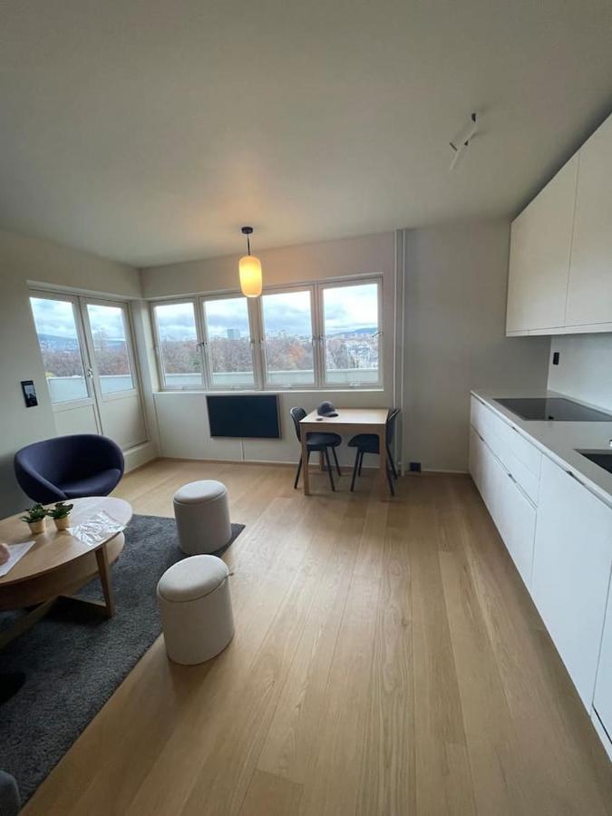 Frognervein Terrace Penthouse Oslo